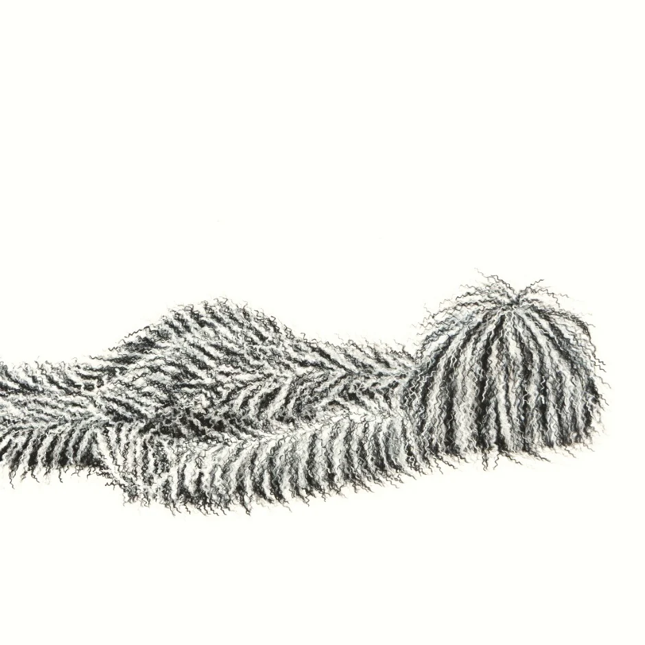 Hairy Monster - Felix (2025) - Image 3