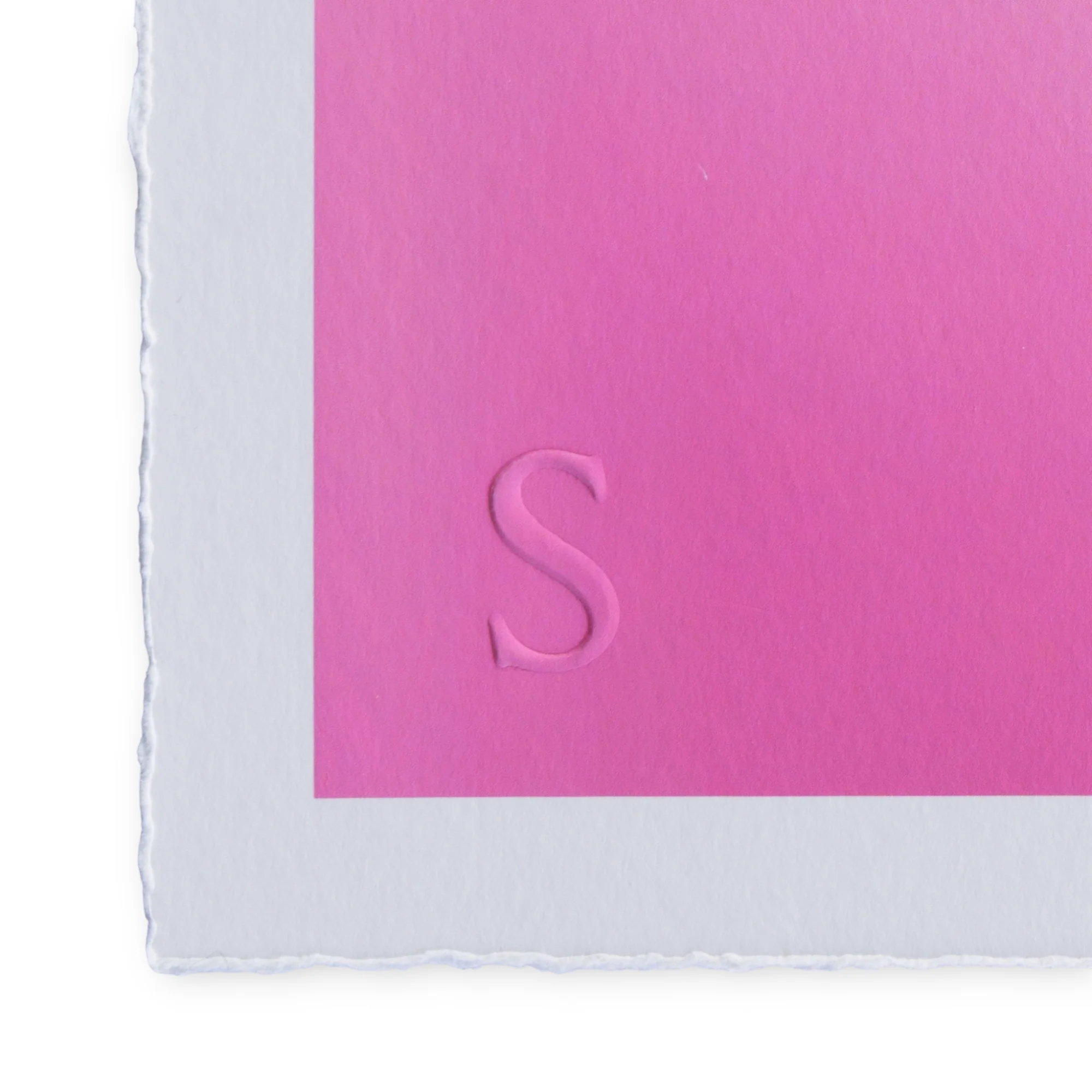 Romain Joly - Flamingo (2025) - Image 3