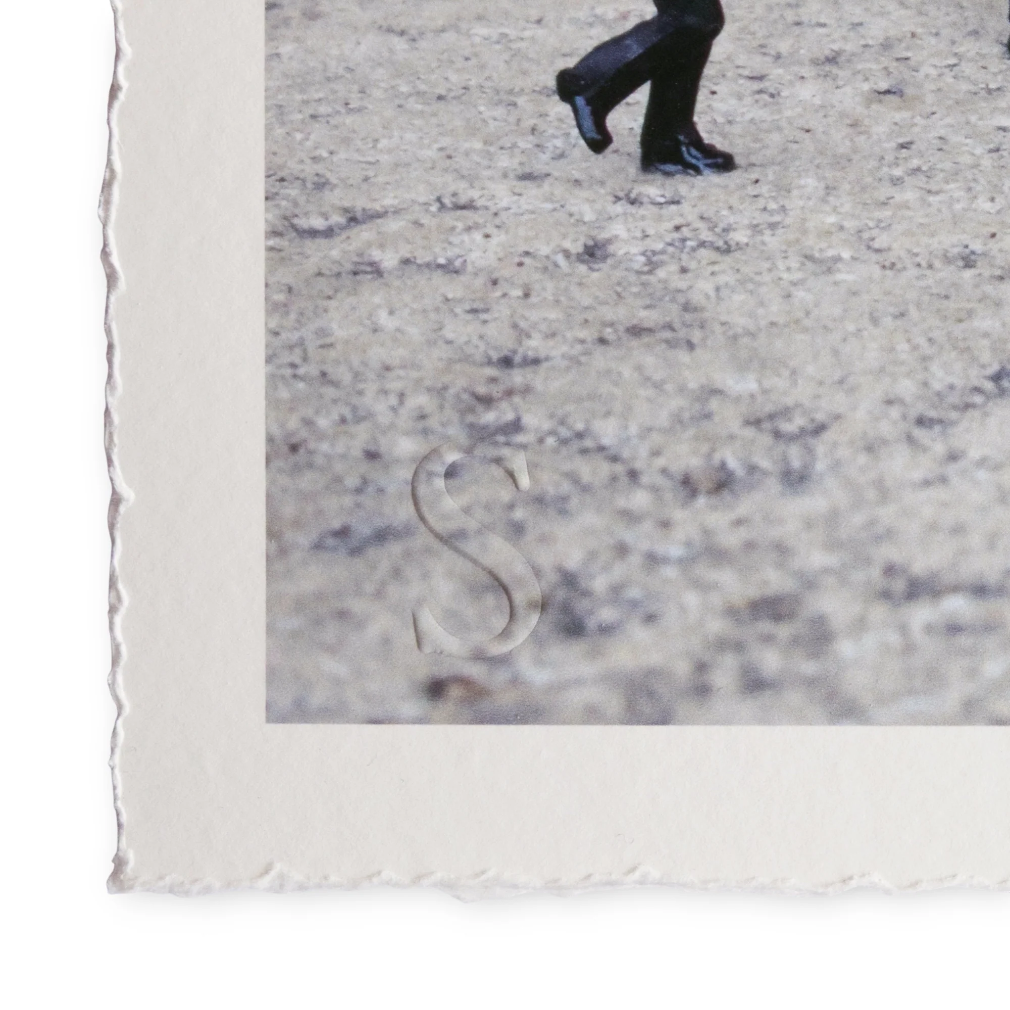Roy's People - It's Just A Daisy (2025) - Image 3