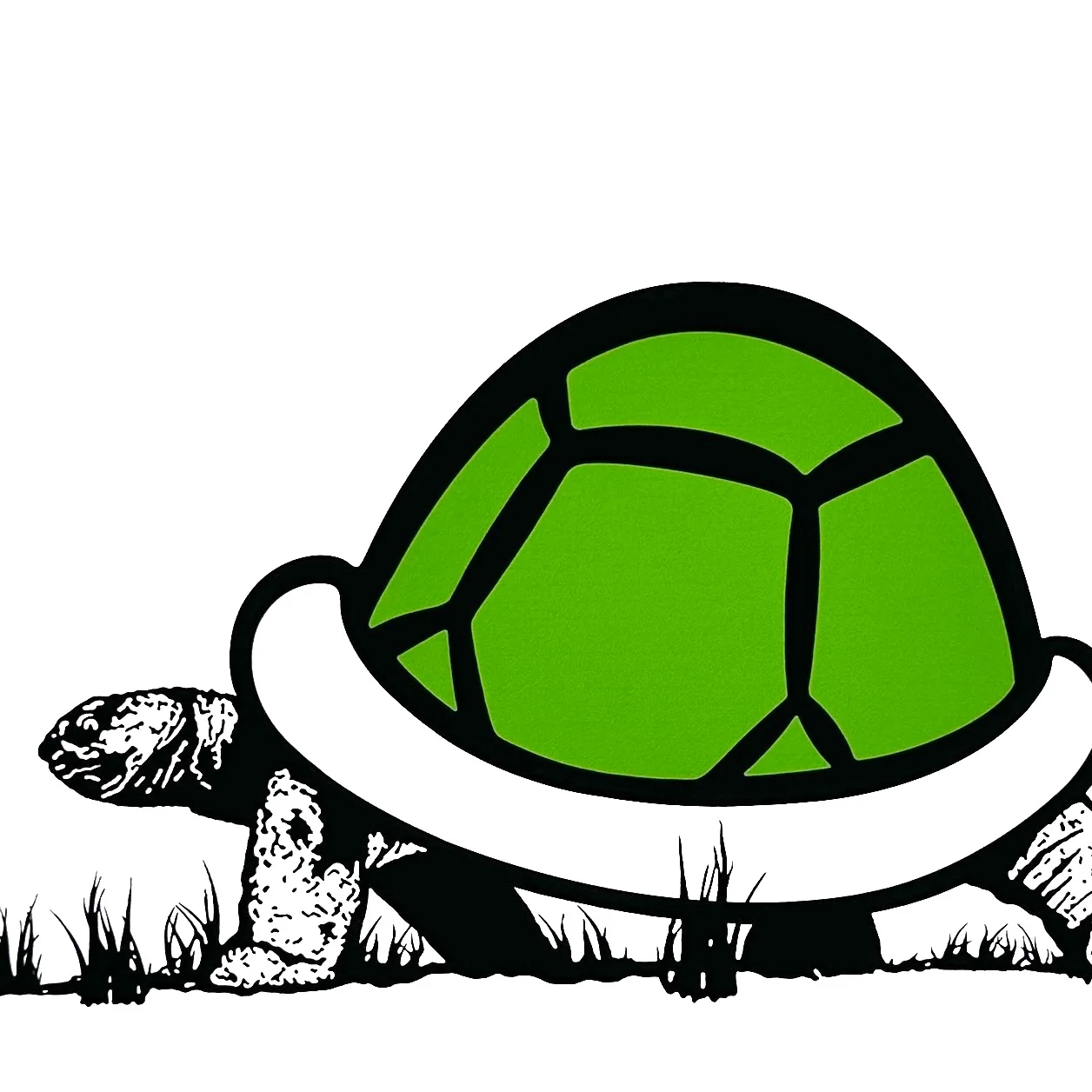 TRUST. iCON -  Koopa Troopa (2026) - Image 4