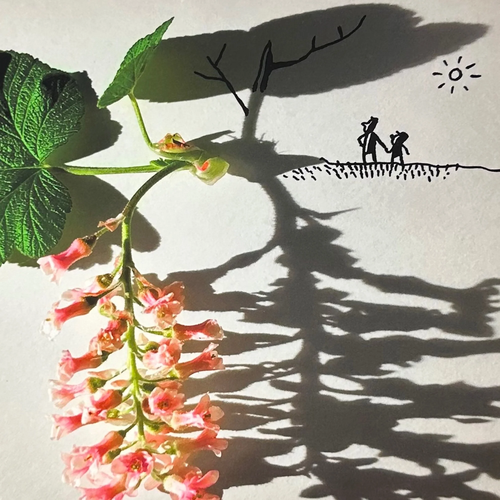 Vincent Bal - Strong Plants Have Deep Roots (2025) - Image 3